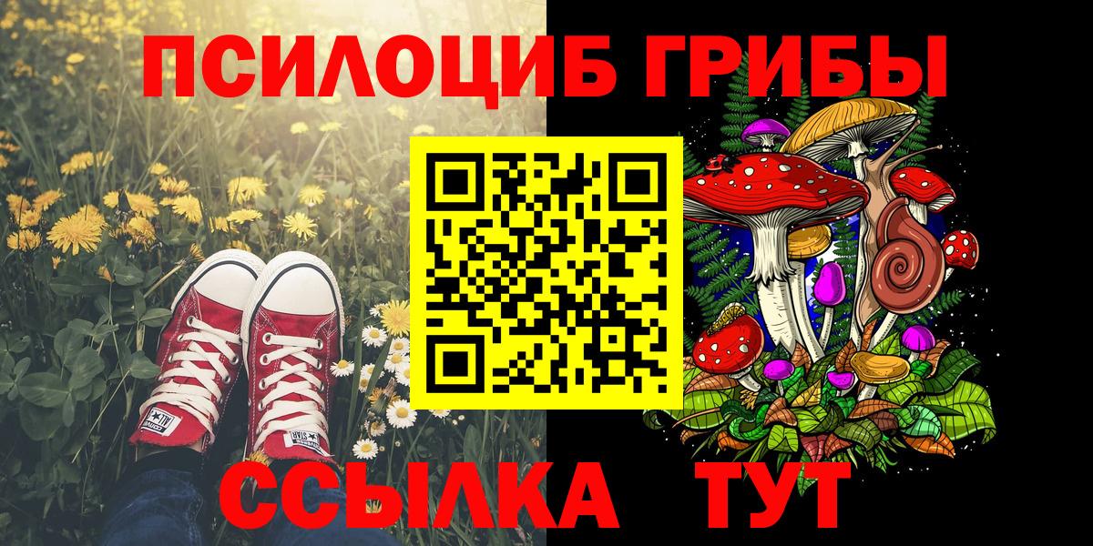 Галлюциногенные грибы мицелий  Галлюциногенные грибы Cubensis  Алейск  Вход с VPN 