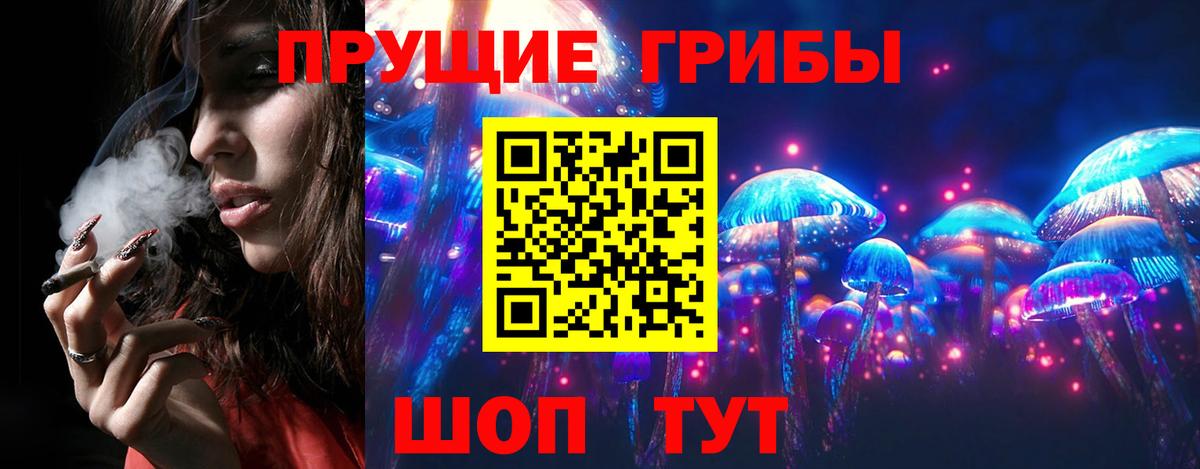 Псилоцибиновые грибы мухоморы Алейск