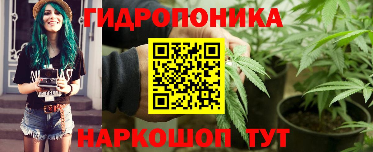 Бошки Шишки ГИДРОПОН Алейск